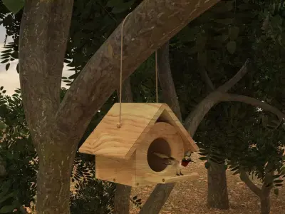 Bird House in Forest 3D model