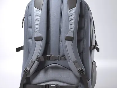 Backpack  purchase 3D model