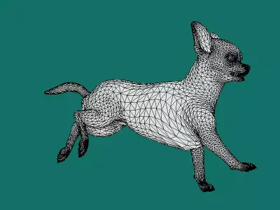 Chihuahua Dog Free 3D model