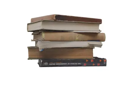 Stacked Books 3D model
