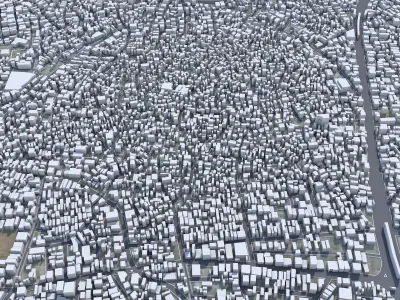Rawalpindi Pakistan 30km Low-poly 3D model