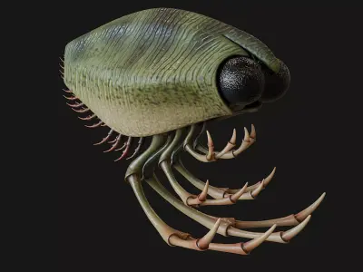 Thylacocephala 3D model