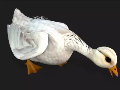 Duck A1 Free 3D model