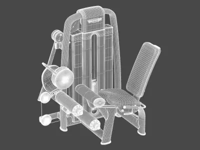 Technogym Selectorized Selection 700 Dual Leg Curl Extension 3D model