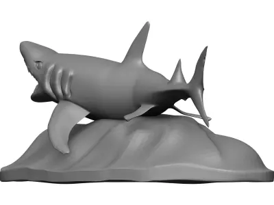 Shark 3D model 14