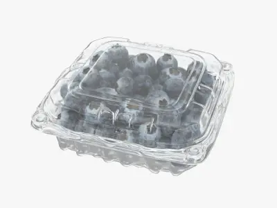 Blueberry Package 3D model