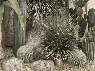  Collection of tropical desert plants 1108A 