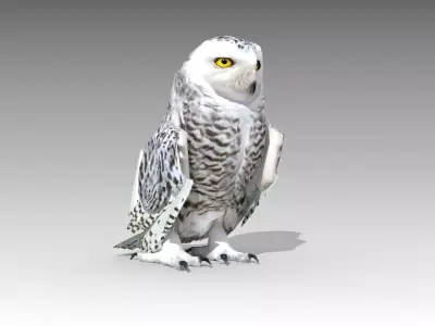 Snowy Owl Low-poly 3D model