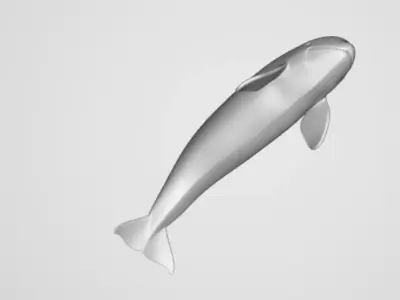 Killerwhale 3D model
