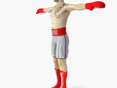 Male Boxer Low-poly 3D model