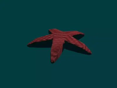 Starfish 3D model get