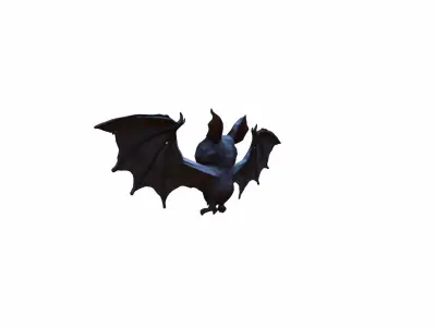 High 3d Render Animal Little Brown Bat Flying 3D model purchase