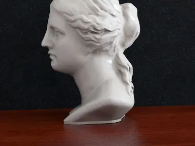 Bust Venera Godless woman  3D print model