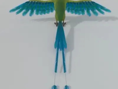 Barranquero Bird Low-poly 3D model