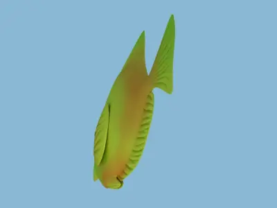 Yellow Fish Rigged 3D model
