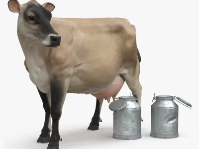 Jersey Heifer and Milk Bucket 3D model