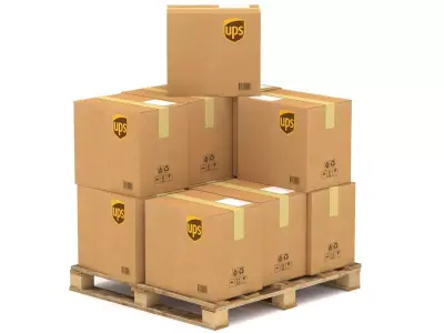 UPS Cardboard Box with Pallet 3D model