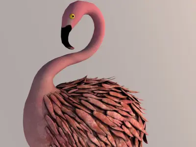 Flamingo 3D model order