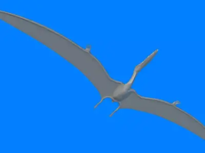 Gnathosaurus dinosaur flying 3D model