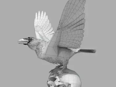 Common Raven - rigged - animated 3D model