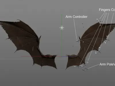 Pair of Bat Wings [C4D] 3D model