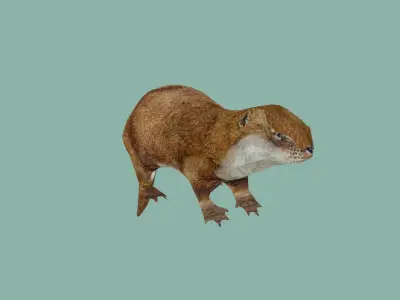 squrrel lowpoly 3d model 3D model