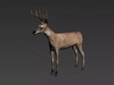 deer  stag animale forest  elk  mammal horn  3D model