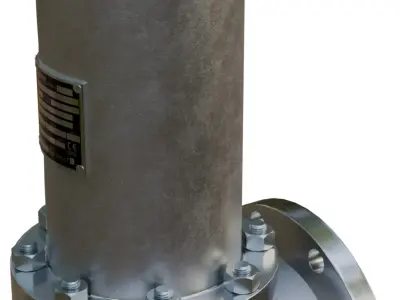 Safety Valve 3D model buy