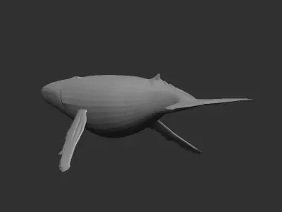 Whales animals wildlife nature creatures Free 3D model