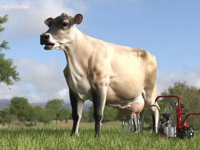 Jersey Dairy Cow and Milking Machine 3D model