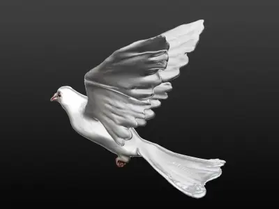 white dove 3D model purchase