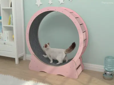 Ragdoll Cat Walking on Exercise Wheel Fur 3D model