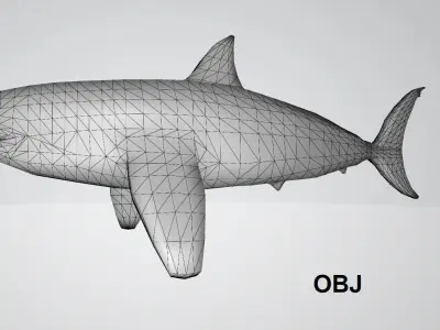 Shark low poly 3D model