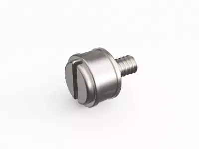Screw 10 3D model