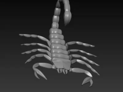 Scorpion 3D print model get