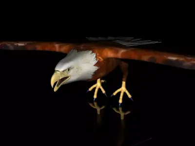 Eagle Full Rigged Low-poly 3D model