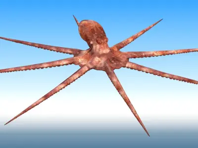 Octopus Rigged 3D model purchase