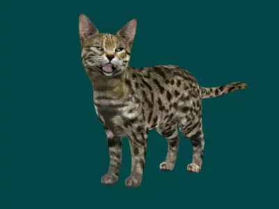 Black Spotted Cat Free 3D model