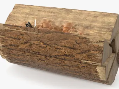 Survival Match Igniting Wood Curl and Timber 3D model