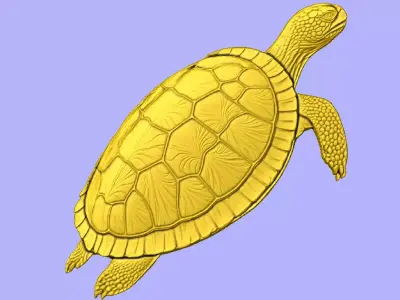 TARTARUGA 3D model