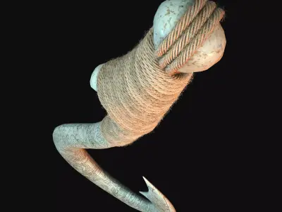 Maui hook 3D model