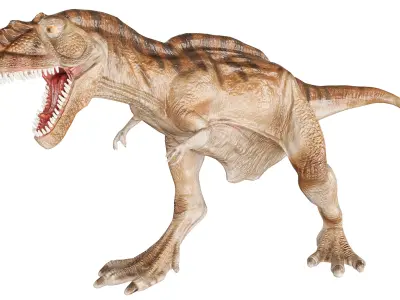 Tyrannosaurus Rex roaring  Low-poly 3D model