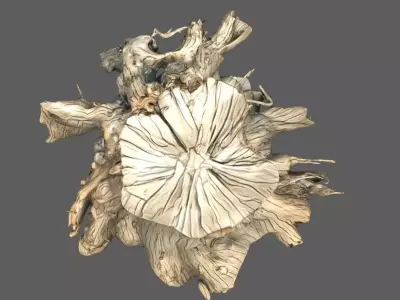 Log Wood 3D model