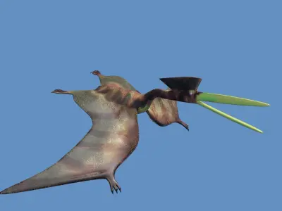 Hatzegopteryx  dinosaur 3D model