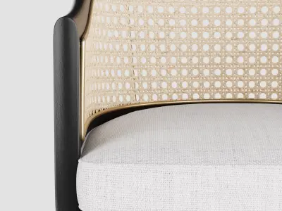Modern Rattan Chair 3D model