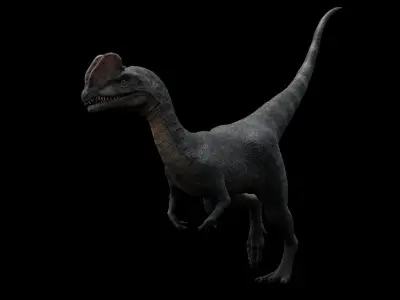 Dilophosaurus Dinosaur Low-poly 3D model purchase