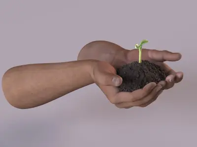  Hands Holding Seedling 