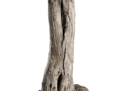  Tall Cut Bare Split Stump Model 