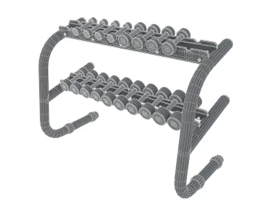 Technogym - Free Weight - Chromed Dumbells 3D model