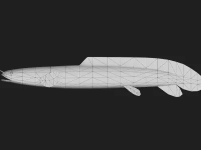 Bichir Low-poly 3D model 2